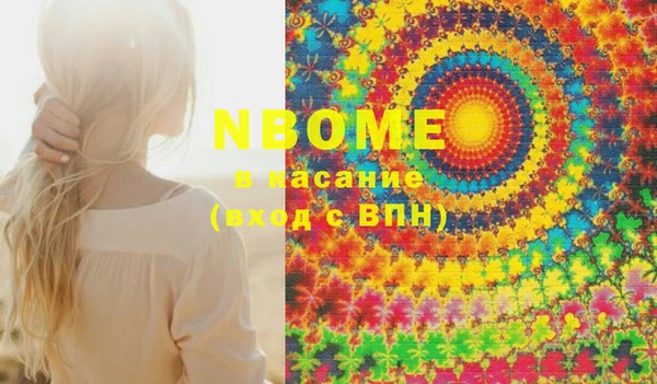 индика Бикин
