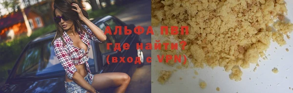 сатива Новокубанск