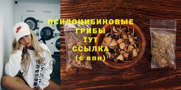 сатива Новокубанск
