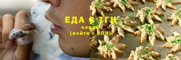 индика Бикин