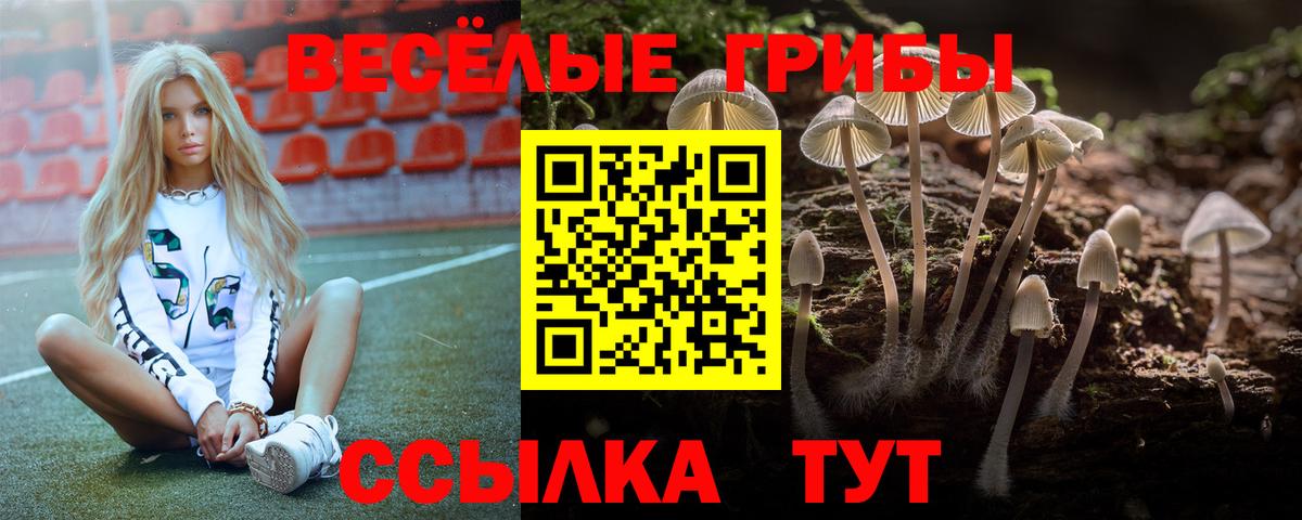 Коряжма  Галлюциногенные грибы GOLDEN TEACHER  Вход с VPN 